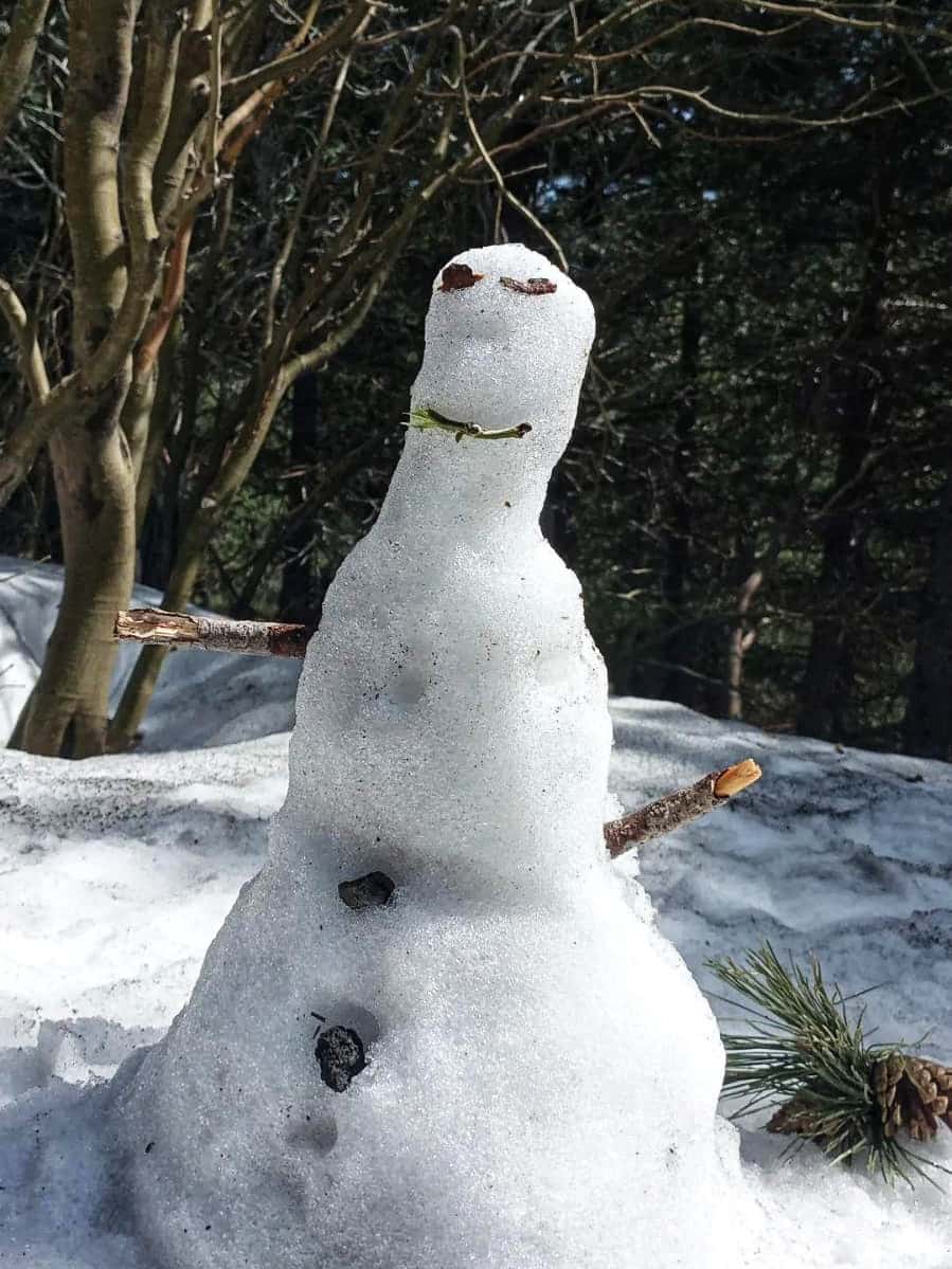 Pupazzo di neve improvvisato lungo la salita durante un'escursione invernale, tra alberi e neve