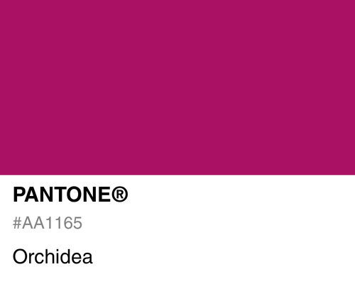 Pantone Orchidea