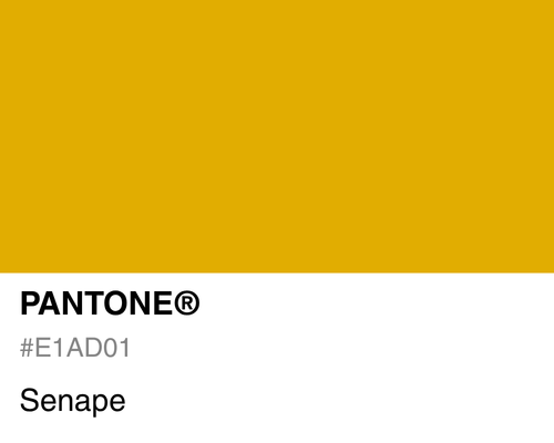 Pantone Senape