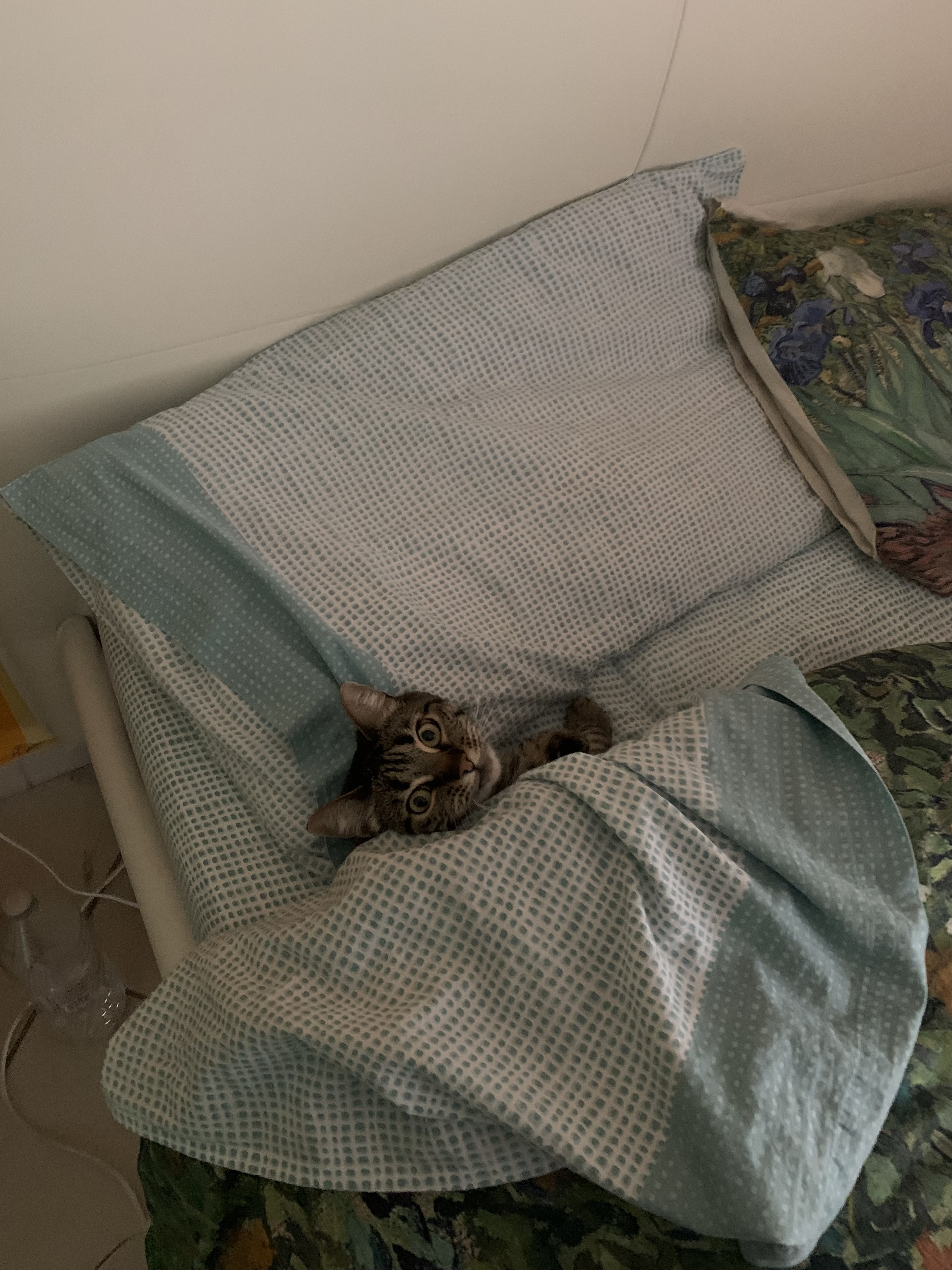 Nika sotto le lenzuola