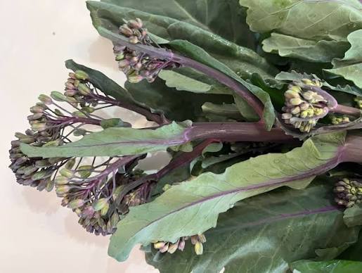 Broccolo nero dell'Etna