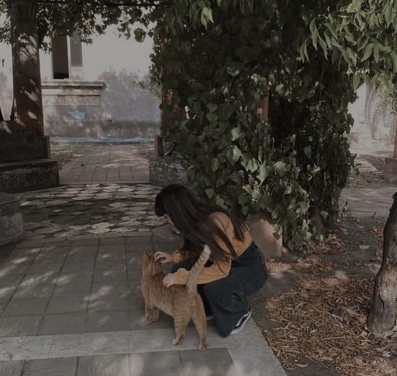 io con gatto
