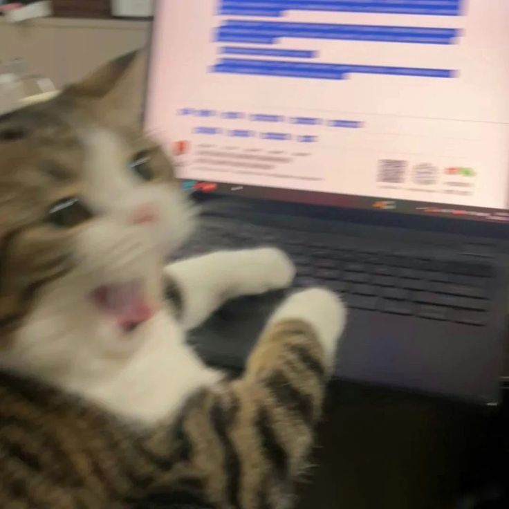 Digital Humanities