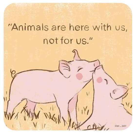 Immagine scelta sul veganismo