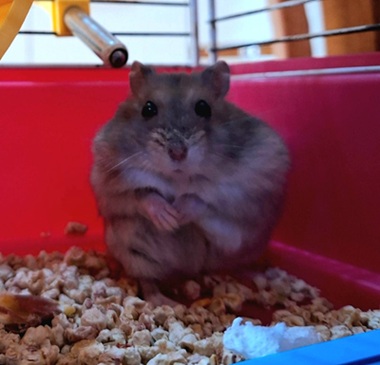Foto 5