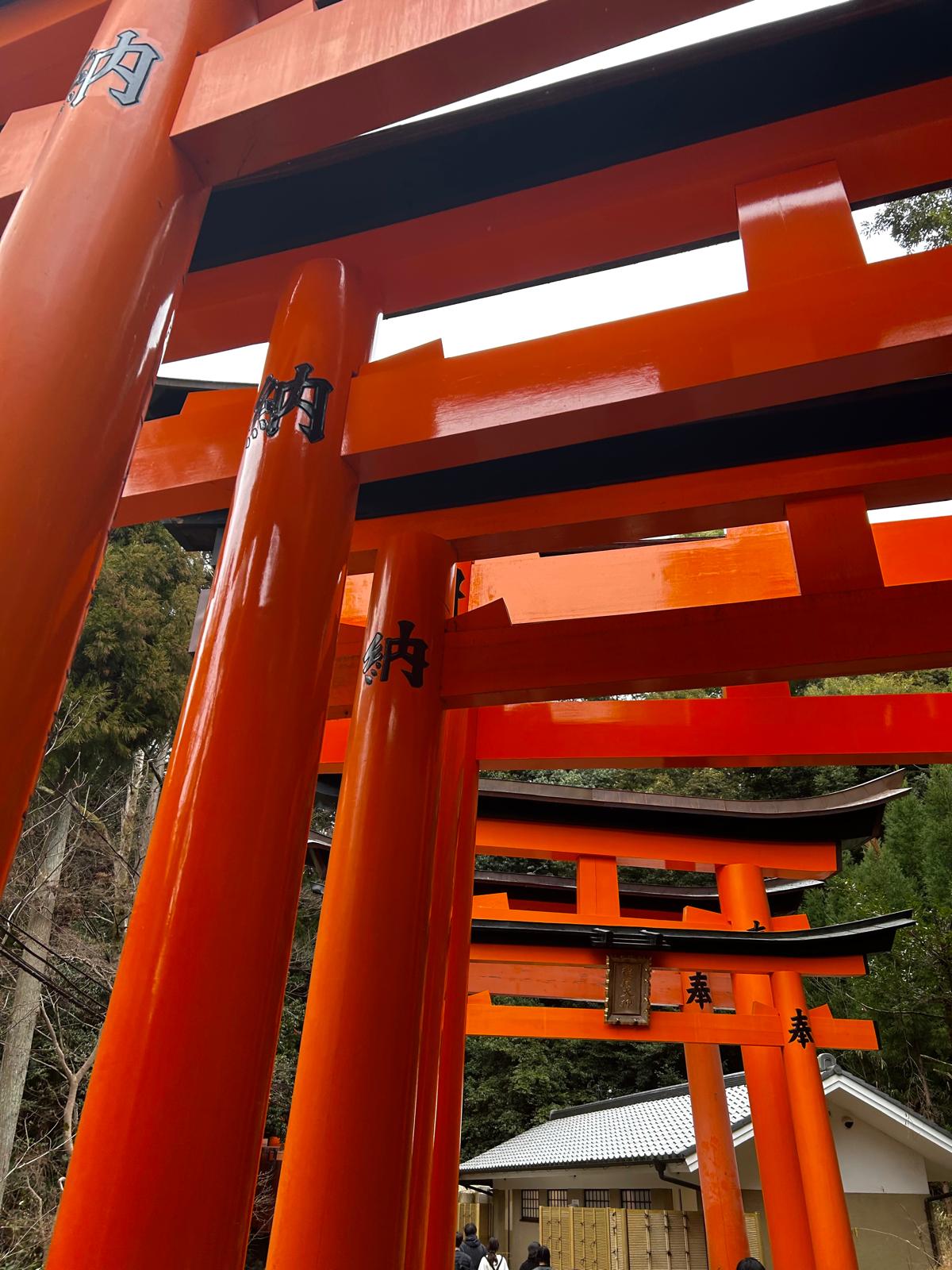 Fushimi Inari